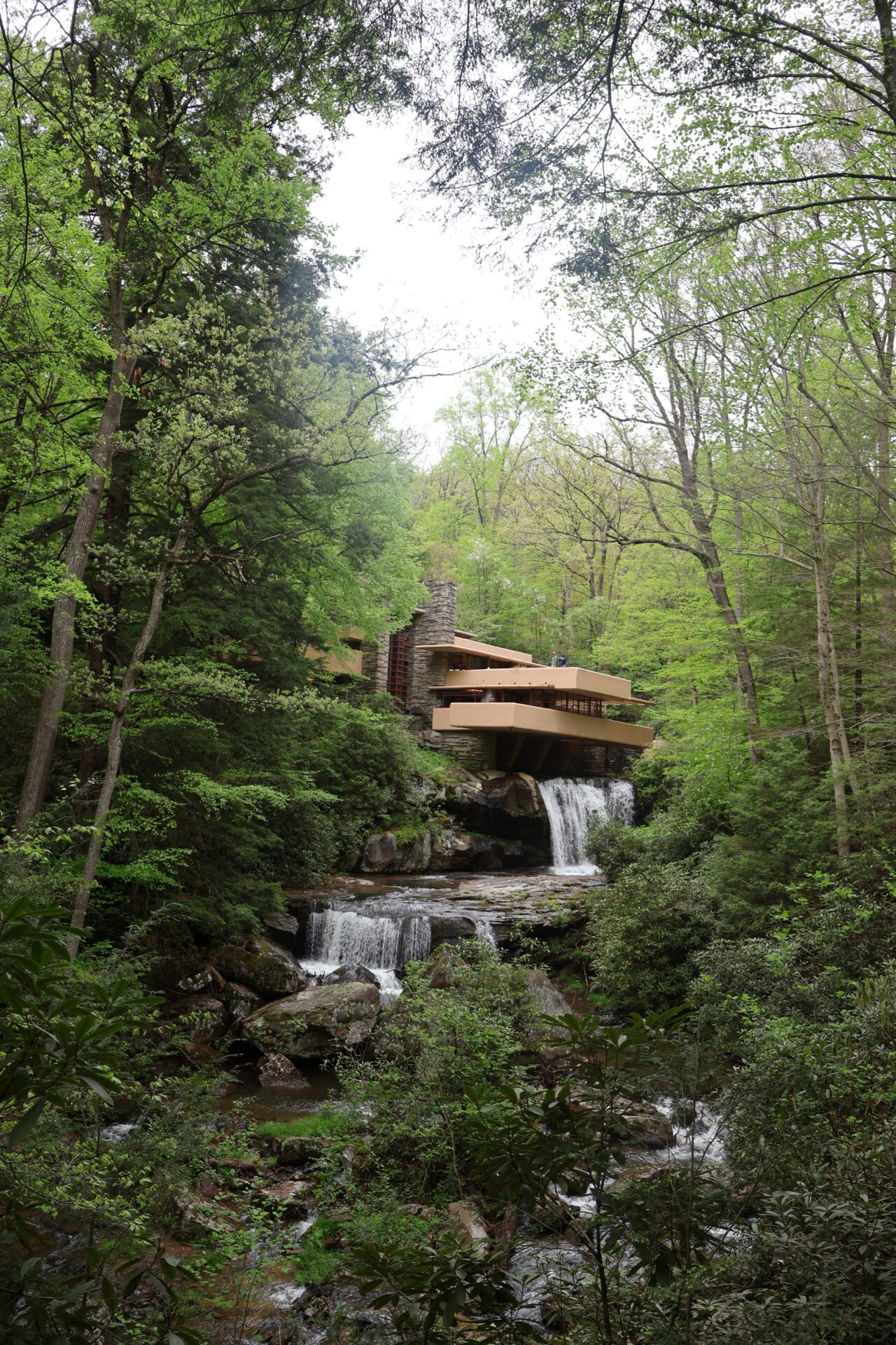 Falling Water（落水荘）と日本の美意識 - YT design - All, Newsletter